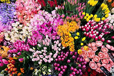 《黑帝斯2》Steam好评如潮 峰值近十万